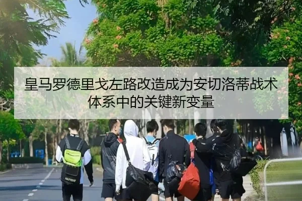 皇马罗德里戈左路改造成为安切洛蒂战术体系中的关键新变量
