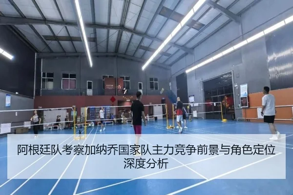 阿根廷队考察加纳乔国家队主力竞争前景与角色定位深度分析